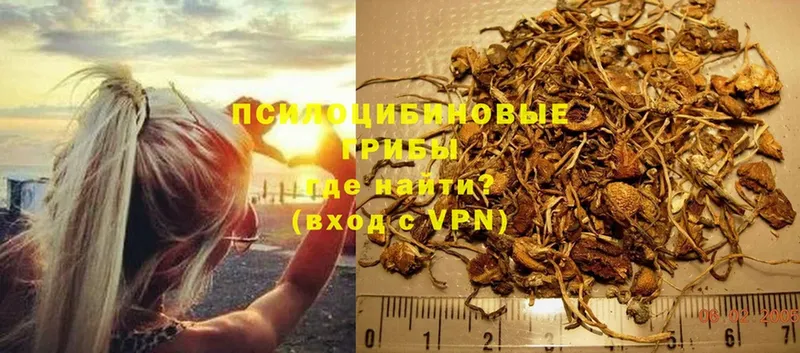 Псилоцибиновые грибы MAGIC MUSHROOMS  Волчанск 